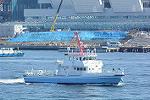 Dcim11685/DSC_1538
