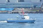 Dcim11685/DSC_1542