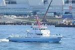 Dcim11685/DSC_1544
