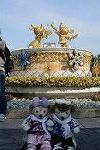 Dcim11698/DSC_2993