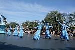 Dcim11712/DSC_5042