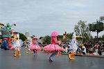 Dcim11714/DSC_5339
