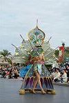 Dcim11715/DSC_5422