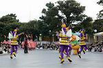 Dcim11716/DSC_5567