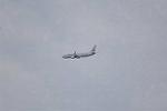 Dcim11717/DSC_5692