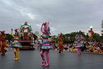 Dcim11718/DSC_5896