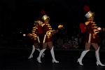 Dcim11723/DSC_6554