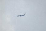 Dcim11731/DSC_2937