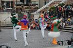 Dcim11739/DSC_8002