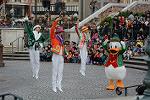 Dcim11739/DSC_8004