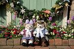 Dcim11761/DSC_0717