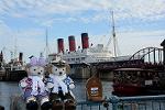 Dcim11764/DSC_1206
