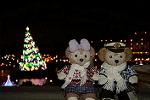 Dcim11767/DSC_1710