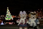 Dcim11767/DSC_1711