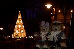 Dcim11770/DSC_2302