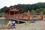 Dcim11774/DSC_2937