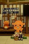 Dcim11778/DSC_3501