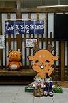 Dcim11778/DSC_3505