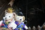Dcim11779/DSC_3554