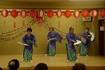 Dcim11788/DSC_4769