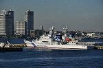 Dcim11790/DSC_9593