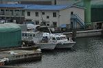 Dcim11795/DSC_0111
