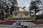 Dcim11795/DSC_0124