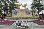 Dcim11795/DSC_0126
