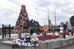 Dcim11795/DSC_0160