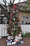 Dcim11795/DSC_0222