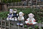 Dcim11795/DSC_0228