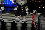 Dcim11797/DSC_0417