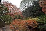 Dcim11805/DSC_4877