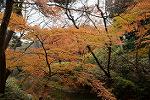 Dcim11806/DSC_4957