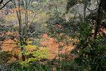 Dcim11806/DSC_5029