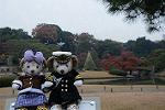 Dcim11807/DSC_5079