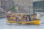 Dcim11811/DSC_1223