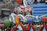 Dcim11811/DSC_1255