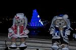 Dcim11813/DSC_1542