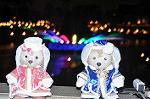 Dcim11814/DSC_1590