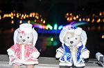 Dcim11814/DSC_1591