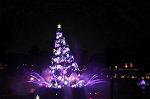 Dcim11814/DSC_1635