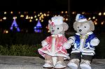 Dcim11815/DSC_1796