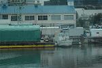 Dcim11816/DSC_5533