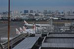 Dcim11823/DSC_6784