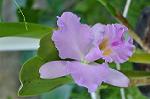 Dcim11825/DSC_1948