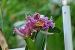 Dcim11825/DSC_1955