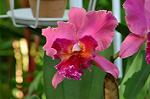 Dcim11825/DSC_1968