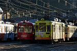 Dcim11833/DSC_8262