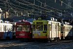 Dcim11833/DSC_8263
